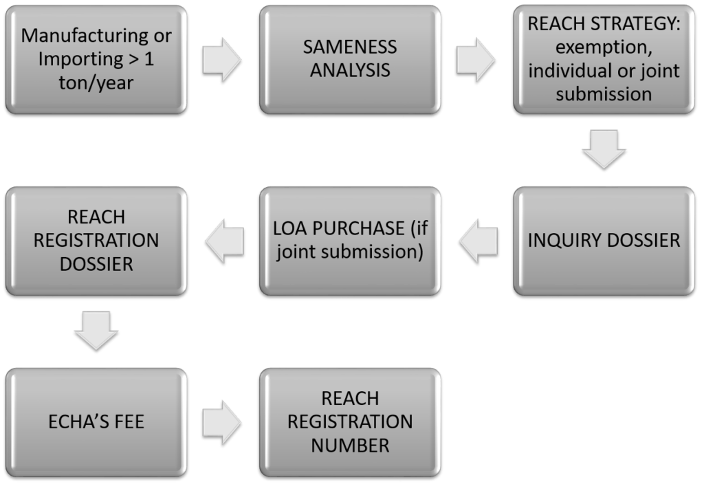 Registrazione 1 REACH CEPRA 1